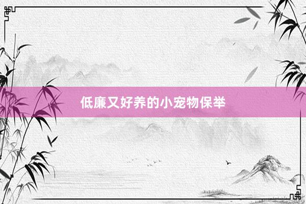 低廉又好养的小宠物保举
